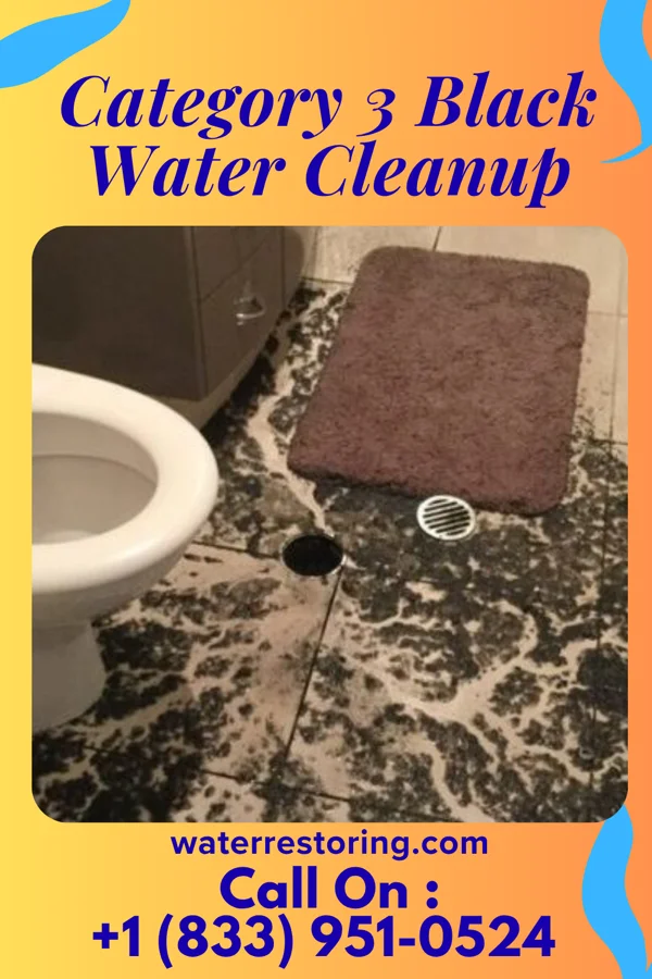 Category 3 Black Water Cleanup in Winstonville, MS