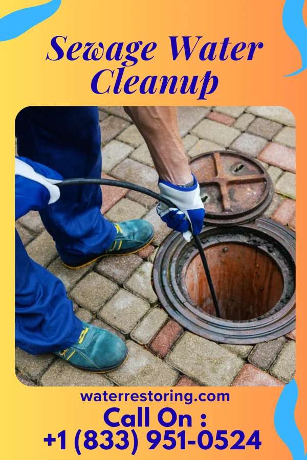 Sewage Water Cleanup in Winstonville, MS